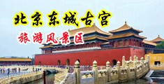 艹逼网站午夜激情四射中国北京-东城古宫旅游风景区
